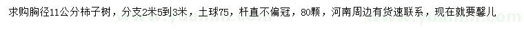 求購胸徑11公分柿子樹