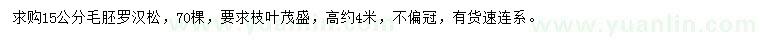 求購15公分毛胚羅漢松
