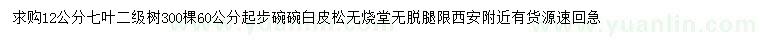 求購12公分七葉樹