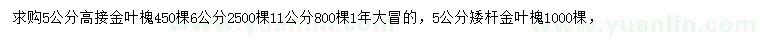 求購5、6、11公分高接金葉槐、5公分矮桿金葉槐