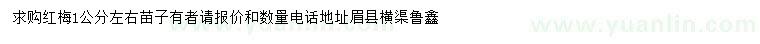 求購1公分左右紅梅