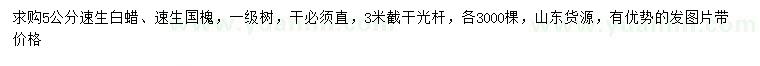 求購5公分速生白蠟、速生國槐