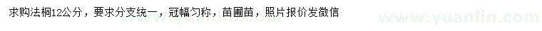 求購12公分法桐