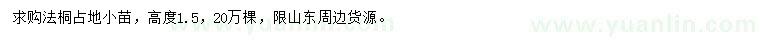 求購高1.2米法桐小苗