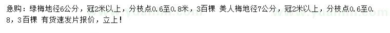 求購地徑6公分綠梅、7公分美人梅