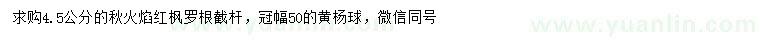 求購4.5公分秋火焰紅楓