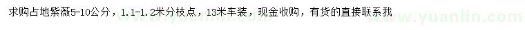 求購5-10公分占地紫薇