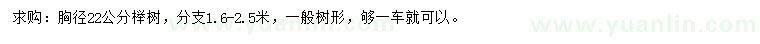 求購胸徑22公分櫸樹