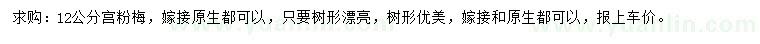 求購12公分宮粉梅
