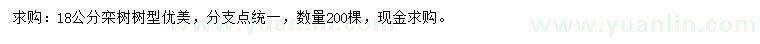 求購18公分欒樹