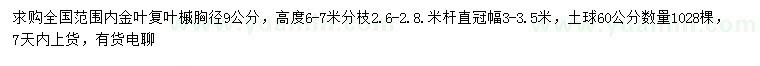求購(gòu)胸徑9公分金葉復(fù)葉槭
