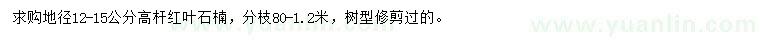 求購地徑12-15公分高桿紅葉石楠