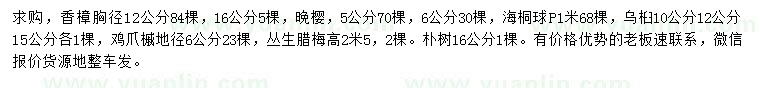 求購香樟、晚櫻、烏桕等
