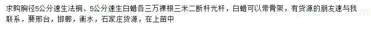 求購(gòu)胸徑5公分速生法桐、速生白蠟