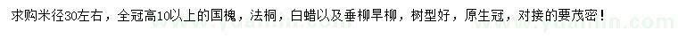 求購(gòu)國(guó)槐、法桐、白蠟等