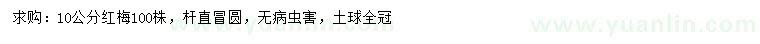 求購10公分紅梅