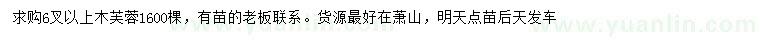 求購(gòu)6叉以上木芙蓉