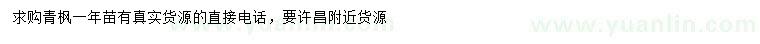 求購一年青楓苗