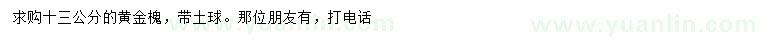 求購13公分黃金槐
