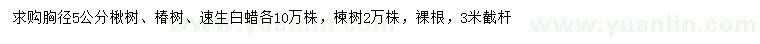 求購楸樹、椿樹、速生白蠟