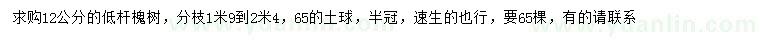 求購12公分低桿槐