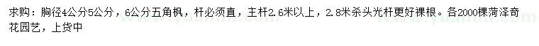 求購胸徑4、5、6公分五角楓