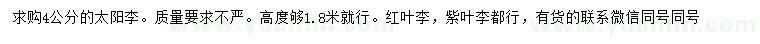 求購4公分太陽李