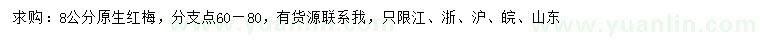 求購8公分原生紅梅