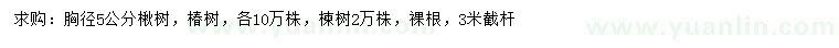求購胸徑5公分楸樹、椿樹