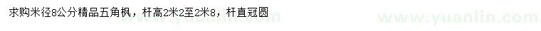 求購米徑8公分精品五角楓