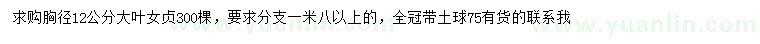 求購胸徑12公分大葉女貞