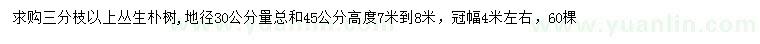 求購(gòu)地徑30公分量45公分叢生樸樹(shù)