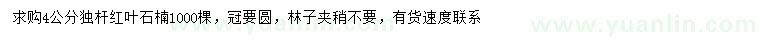 求購(gòu)4公分獨(dú)桿紅葉石楠