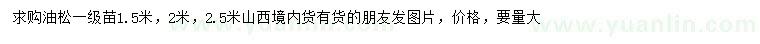 求購(gòu)1.5、2、2.5米油松