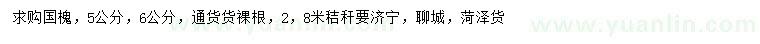 求購5、6公分國槐