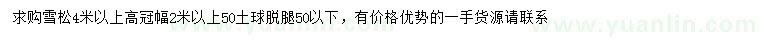 求購高4米以上雪松