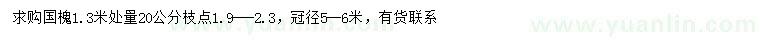 求購1.3米量20公分國槐