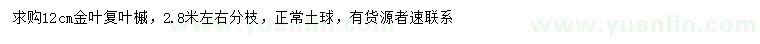 求購12公分金葉復葉槭