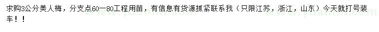 求購3公分美人梅