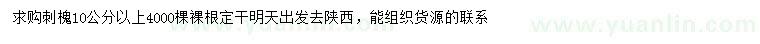 求購10公分以上刺槐