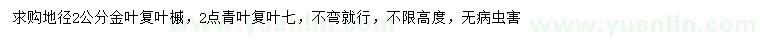 求購地徑2公分金葉復(fù)葉槭