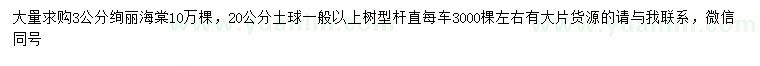 求購3公分絢麗海棠