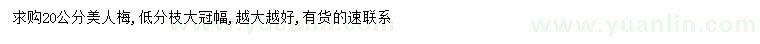 求購(gòu)20公分美人梅