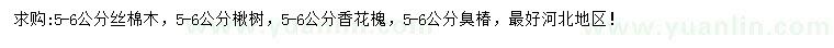 求購絲棉木、楸樹、香花槐等