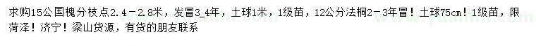 求購(gòu)15公國(guó)槐、12公分法桐
