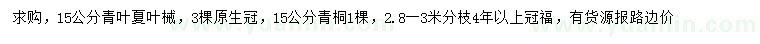求購15公分青葉夏葉械、青桐