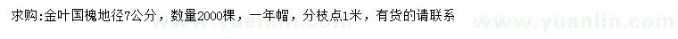 求購地徑7公分金葉國槐