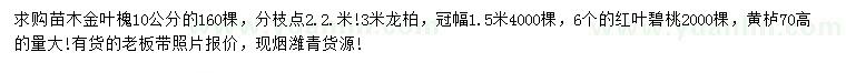 求購金葉槐、龍柏、紅葉碧桃等