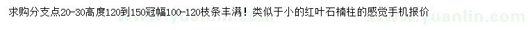 求購高120-150公分紅葉石楠柱