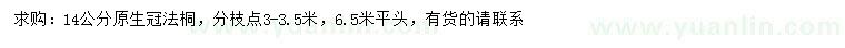 求購14公分法桐